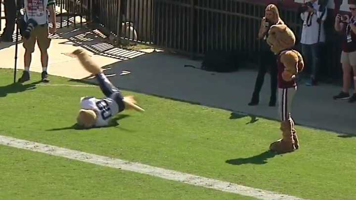 Watch: BYU, Missisippi State Mascots Give Us Terrific Dance-Off