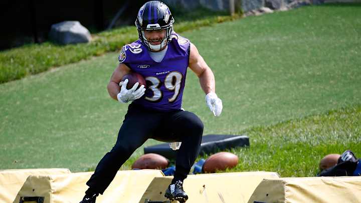 Baltimore Ravens Fantasy Football 2017 Preview: Danny Woodhead Is A Steal Baltimore Ravens Fantasy Football 2017 Preview: Danny Woodhead Is A Steal