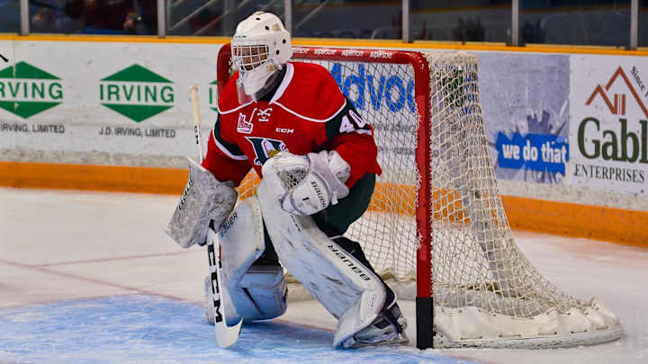 Canadian goalie saves 86 shots—49 in five overtimes—and still loses
