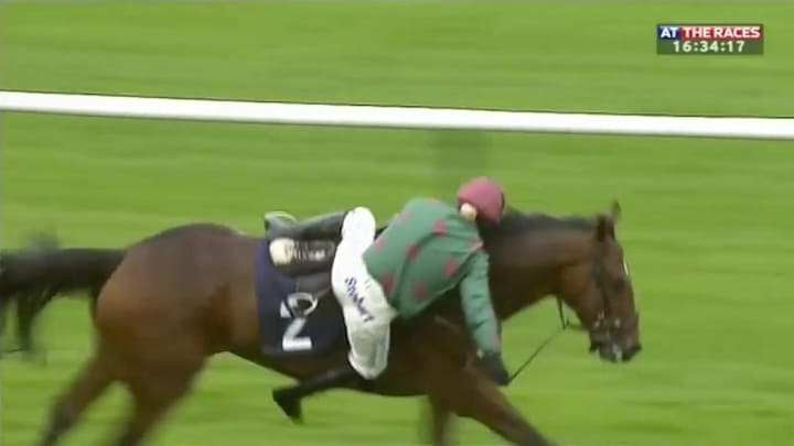 Video: Jockey Sent Flying Off Her Horse Mere Feet Before Crossing the Finish Line First