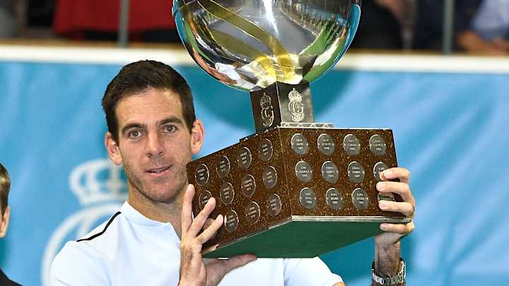 Juan Martin del Potro Beats Grigor Dimitrov to Win Stockholm Open