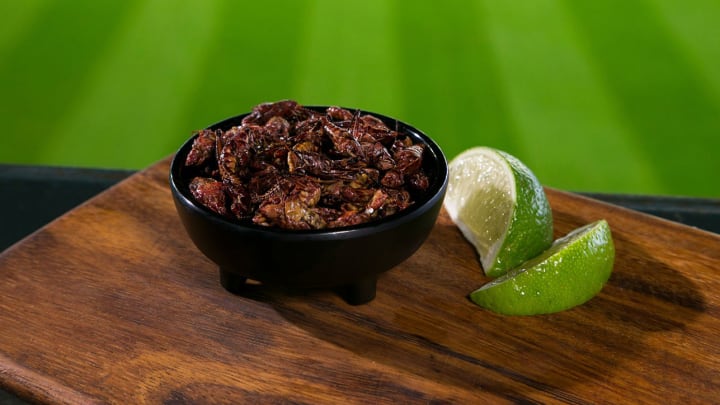 You should absolutely eat the Mariners' new ballpark food: Toasted grasshoppers You should absolutely eat the Mariners' new ballpark food: Toasted grasshoppers