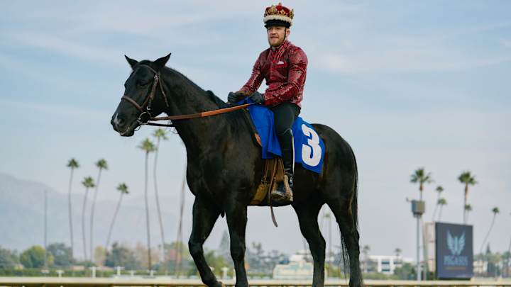 Watch: Conor McGregor stars in odd horse racing commercial