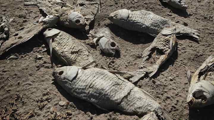 The Bears’ Facility Stinks Like Rotten Fish