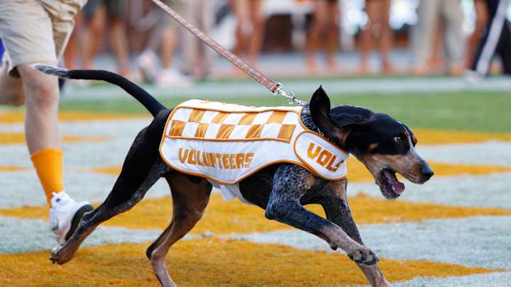 How to Watch Tennessee vs. Florida Online: Live Stream, TV, Game Time How to Watch Tennessee vs. Florida Online: Live Stream, TV, Game Time