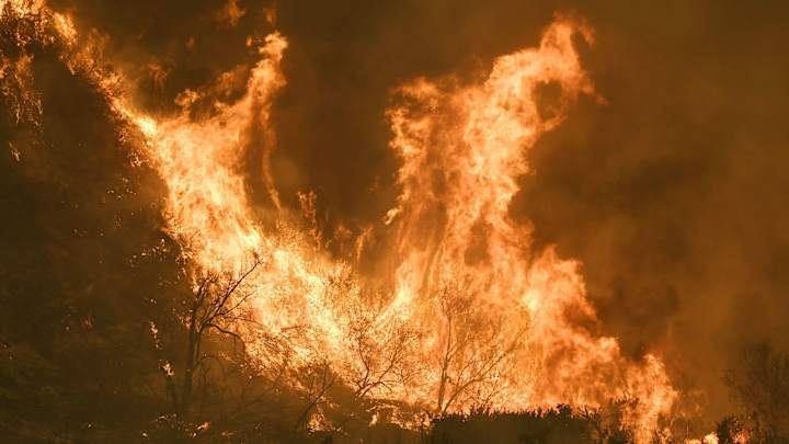 UCLA Cancels Game vs. Montana Amid California Wildfires