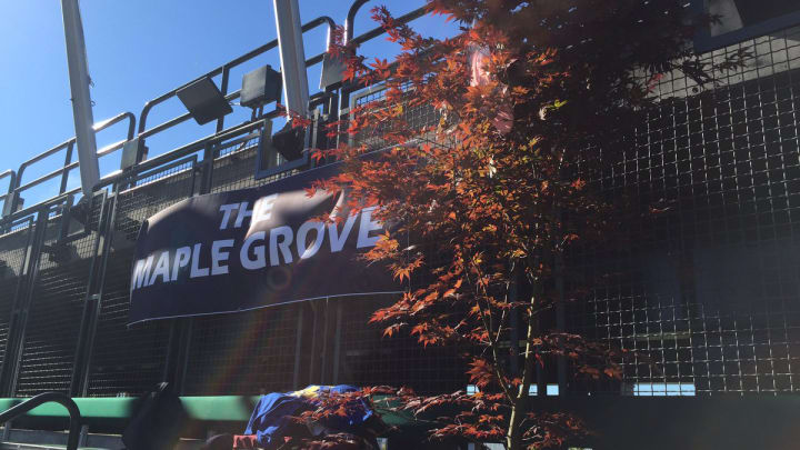 The Mariners Put a Tree in the Leftfield Seats Because James Paxton Is Pitching The Mariners Put a Tree in the Leftfield Seats Because James Paxton Is Pitching