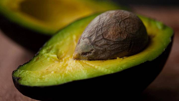 Mexico Just Broke the World Record with 6,600 Pounds of Guacamole Mexico Just Broke the World Record with 6,600 Pounds of Guacamole