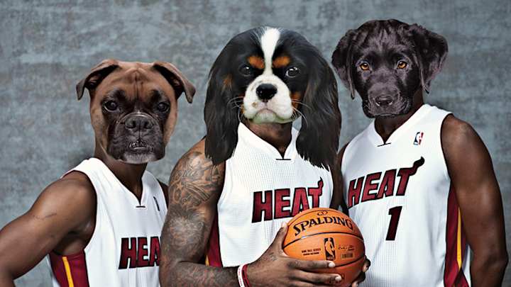 Here's a bunch of athletes with dogs photoshopped over their faces