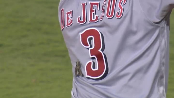 This guy somehow didn’t notice the bird-sized moth on his back