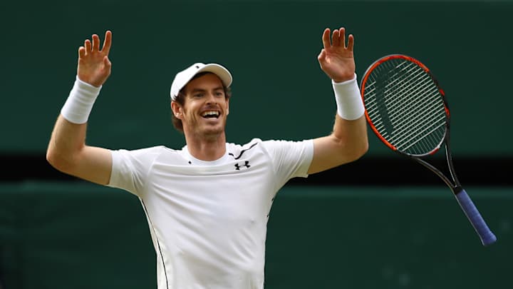 Wimbledon 2016 men's final