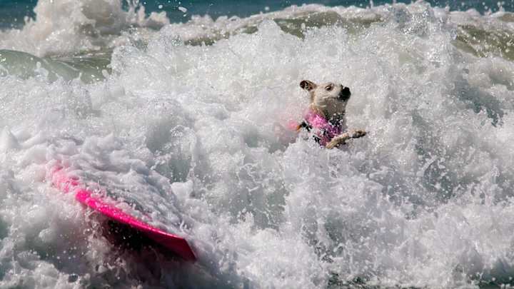 Wacky Sports Photos of the Week (Sept. 21-27)