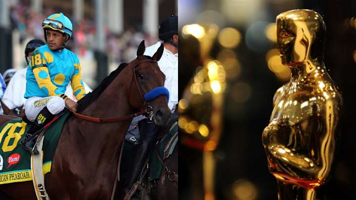 Quiz: Kentucky Derby horse or Oscar-nominated foreign film?