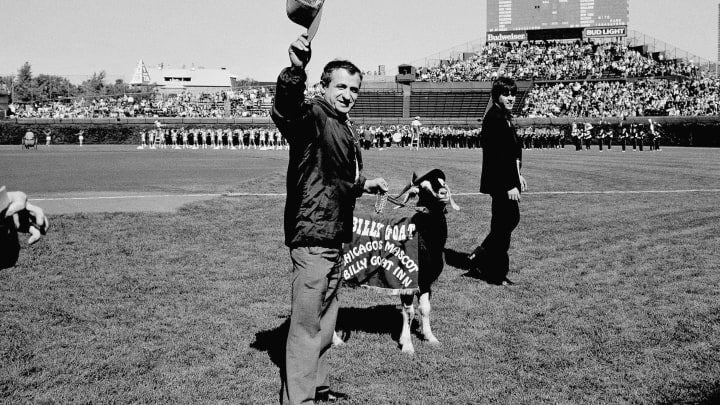 Column: Cubs not only team holding postseason misery card