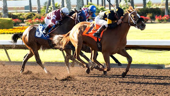 Finest City wins Great Lady M. Stakes at Los Alamitos