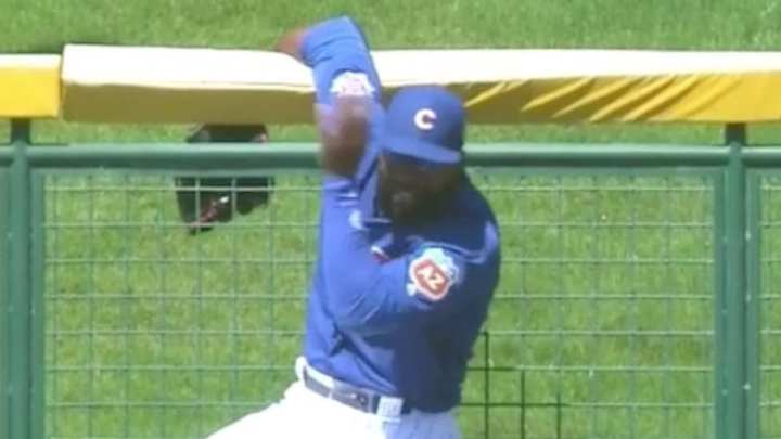 Cubs spring training game invaded by annoying bees Cubs spring training game invaded by annoying bees