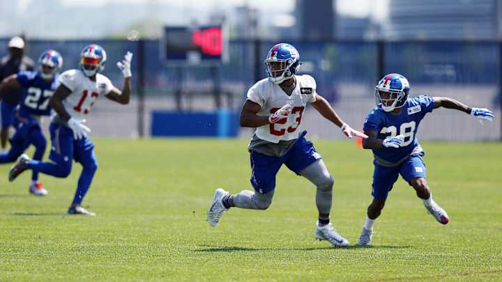 Giants halfback Andre Williams making no excuses for 2015