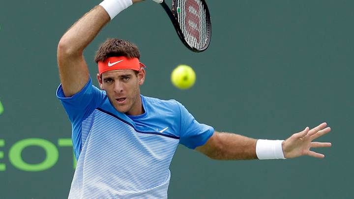 Del Potro skips French Open to focus on grass-court season