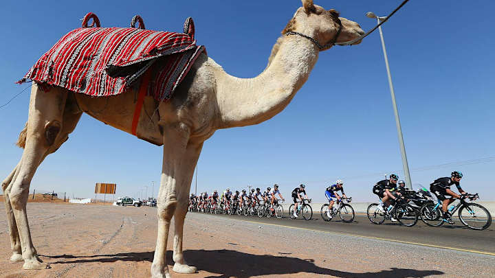 VIEWFINDER: The Desert Terrain of the Dubai Cycling Tour