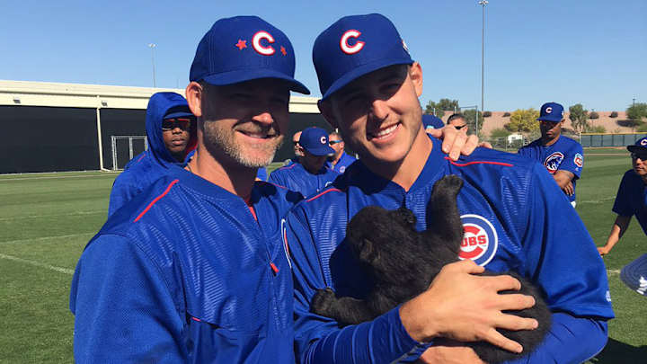 The Cubs hung out with actual cubs The Cubs hung out with actual cubs