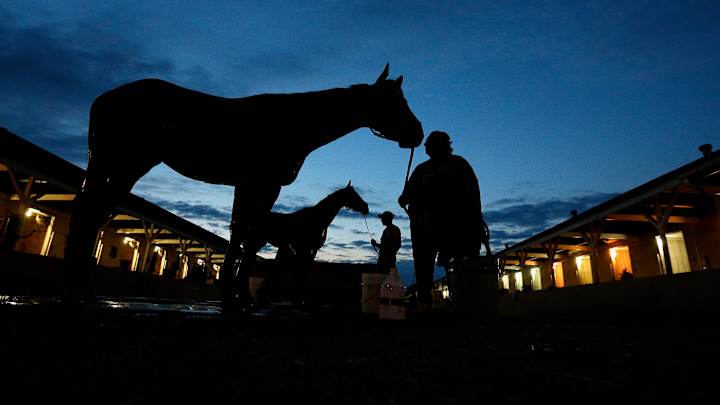 DERBY 2016: By-the-numbers at the Kentucky Derby