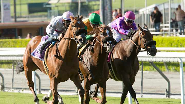 Lord Nelson wins Santa Anita Sprint Championship