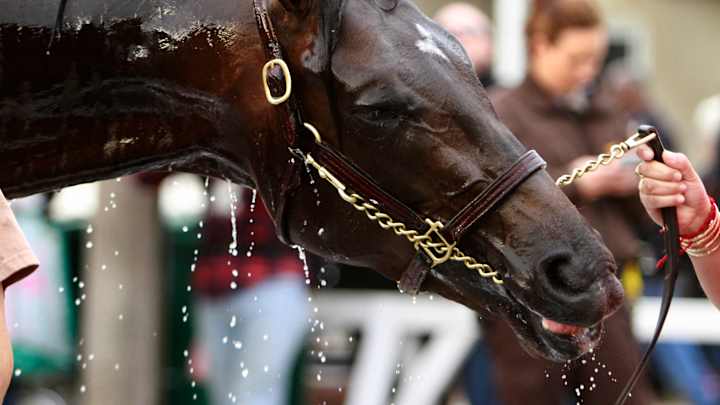 22 horses entered for Kentucky Derby; field limited to 20
