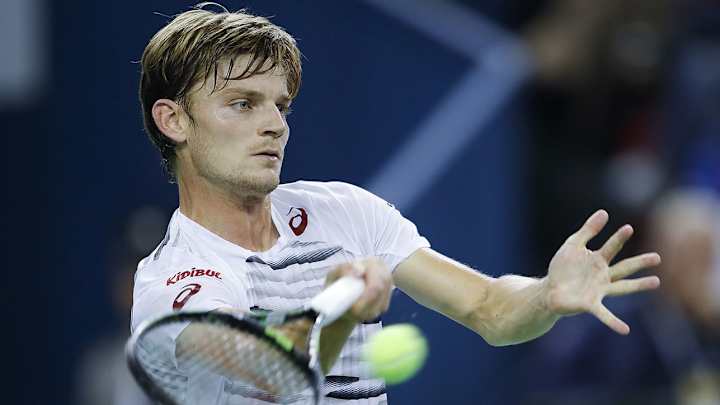 Goffin beats Mayer to reach quarters of European Open