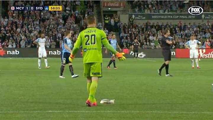 Watch: Soccer game paused so goalkeeper can save injured seagull
