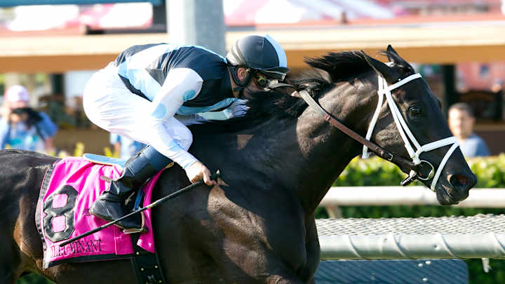 Illuminant wins Grade 1 Gamely Stakes at Santa Anita