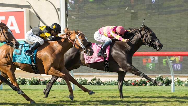 Free Rose wins Del Mar Derby; Avenge wins Mabee at Del Mar