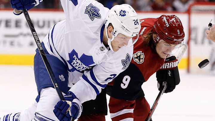 Hockey analytics a good match for NY statistics professor