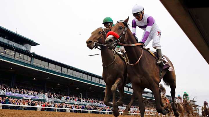 Unbeaten Nyquist all set to start his Run to the Roses