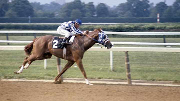 ‘Horsey McHorseface’ is a very straightforward name for a racehorse ‘Horsey McHorseface’ is a very straightforward name for a racehorse