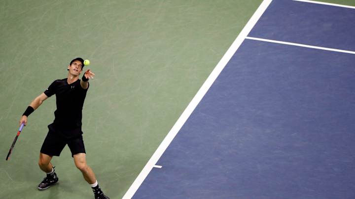 Williams, Murray, del Potro seek to book spots in US Open SF Williams, Murray, del Potro seek to book spots in US Open SF