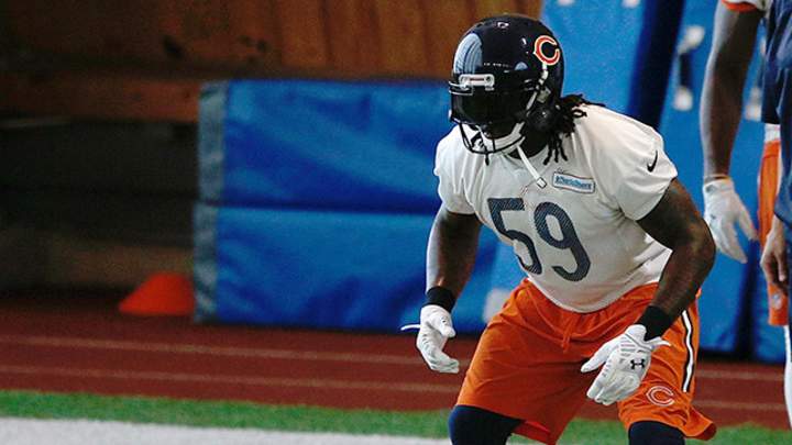 On Defense, the Bears Restock to Restore