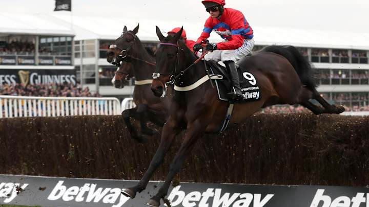 Fit-again Sprinter Sacre wins Queen Mother Champion Chase