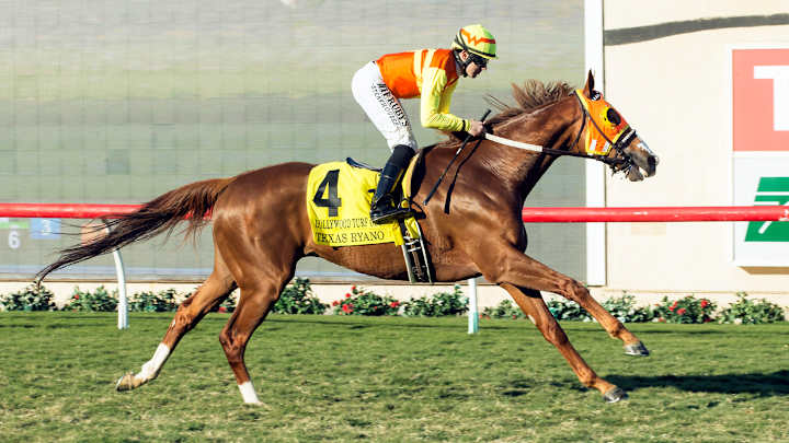 Texas Ryano wins $200,000 Hollywood Turf Cup at Del Mar