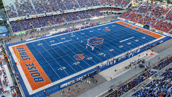 Bruh, look at this confused goose