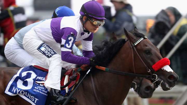 Report: Nyquist out of Belmont Stakes with elevated white blood cell count