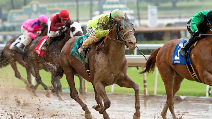 Home Run Kitten wins American Stakes at Santa Anita