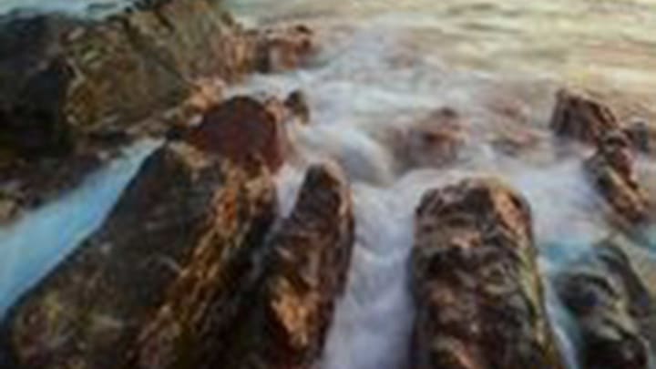 Cras cursus dignissim risus Cras cursus dignissim risus