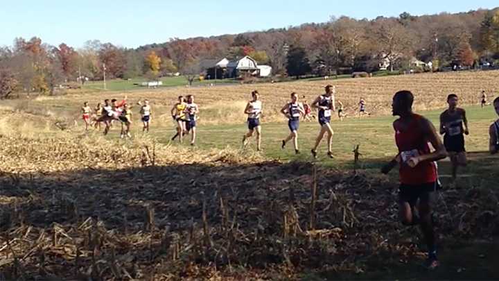 Watch: Cross country runner gets pummeled by deer mid-race Watch: Cross country runner gets pummeled by deer mid-race