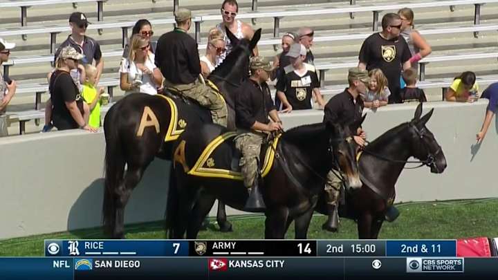Army mascot craps in end zone, delays game Army mascot craps in end zone, delays game
