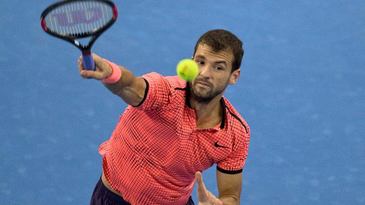 Dimitrov to face del Potro in semis of Stockholm Open
