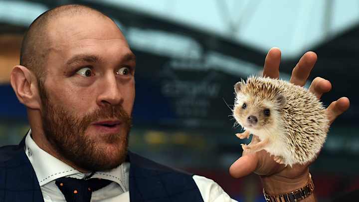 Boxer Tyson Fury’s latest controversy: Eating hedgehogs