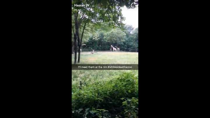 Watch: Hassan Whiteside went to the zoo after deciding on the Heat