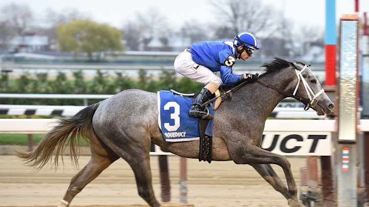 It's Mohaymen, then Nyquist and 8 longshots at Florida Derby