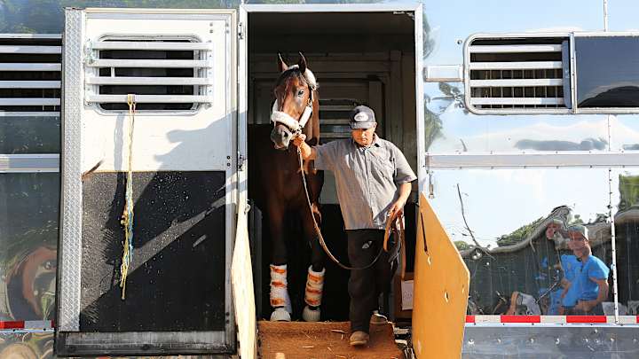 Haskell: Derby winner Nyquist 6-5 favorite over Exaggerator