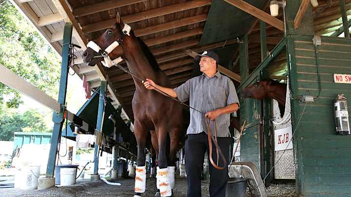 Preakness winner Exaggerator joins Haskell field